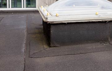 disadvantages of Hubberts Bridge flat roofs