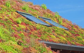 Hubberts Bridge living roof systems