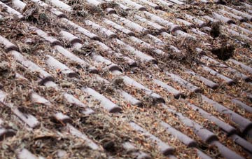 Hubberts Bridge roof cleaning companies